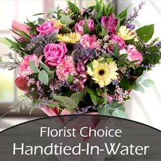 Florist Choice - Aqua