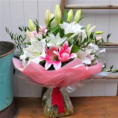 Lily Lane Handtied Aqua