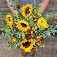 Sunflower Handtied Bouquet